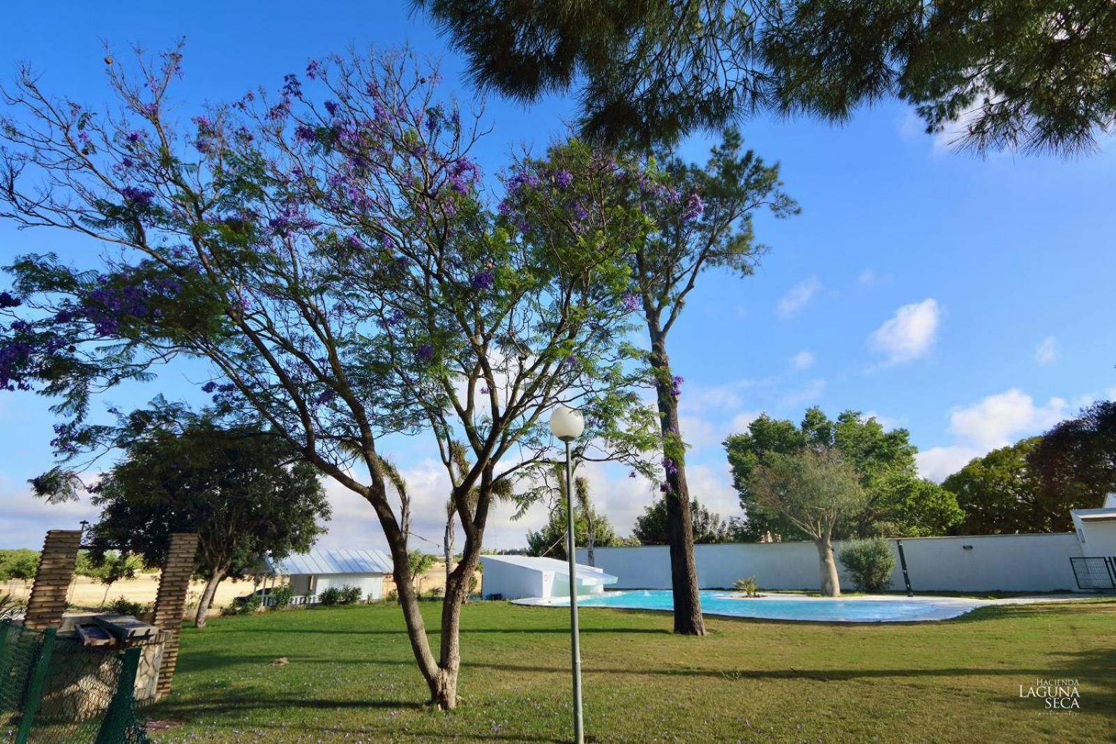 Hacienda Laguna Seca - Apart. Lavanda Chiclana de la Frontera Bagian luar foto